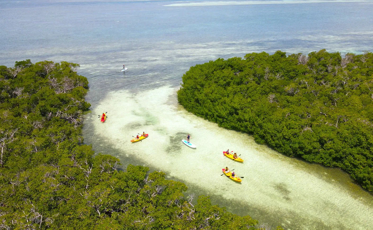 sandbar-kayak-eco-adventure-in-cove-webp