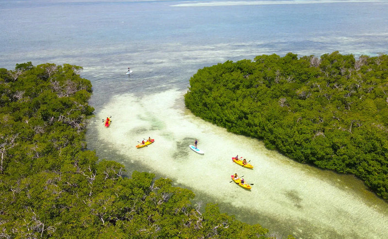 sandbar-kayak-eco-adventure-in-cove-webp