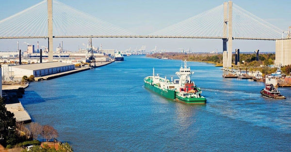 savannah-bridge-jpg
