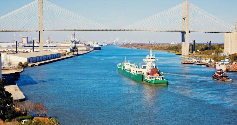 savannah-bridge-jpg