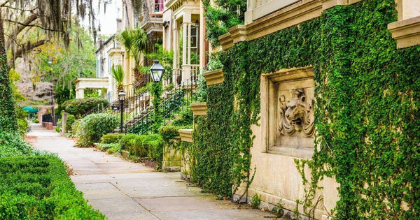 savannah-ga-jpg
