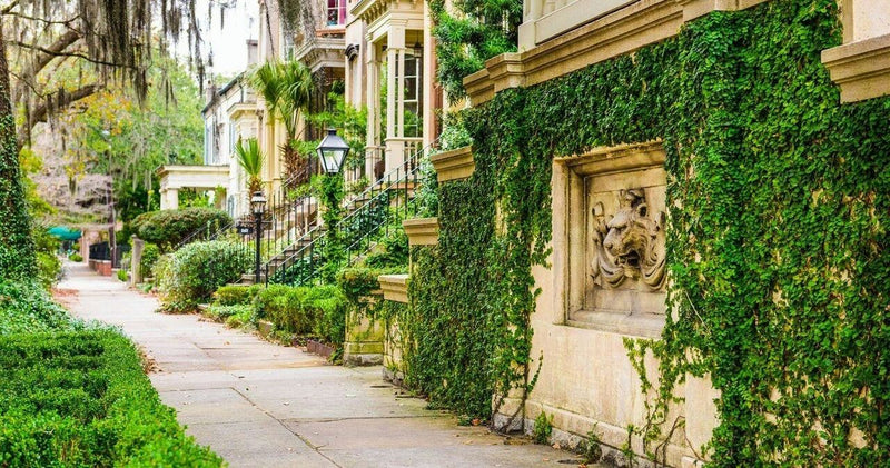savannah-ga-jpg