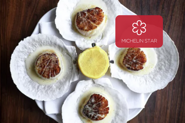 scallop dish with star logo
