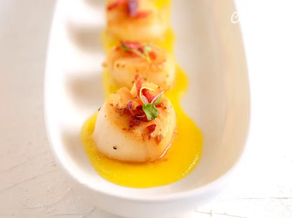 Scallops for class.png