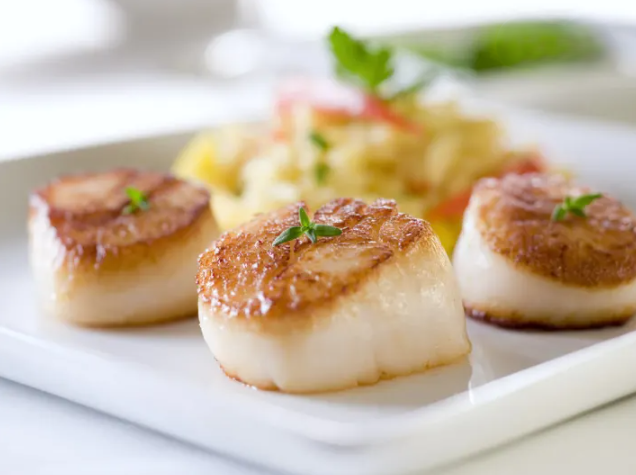 Scallops for Italian Class.png