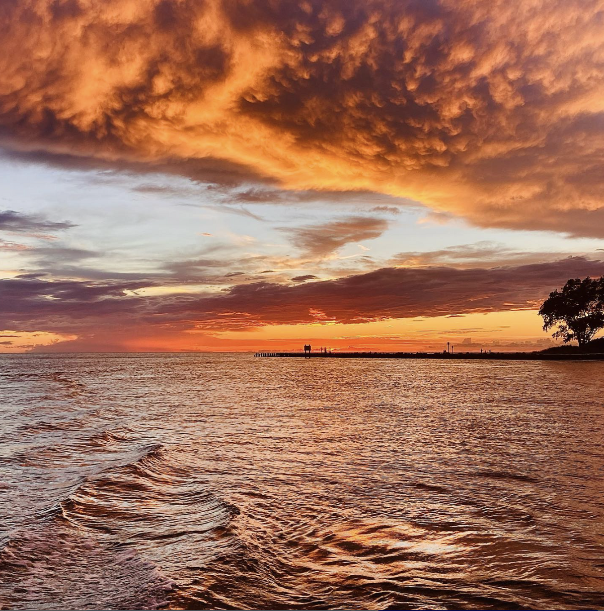 screenshot-2024-08-13-at-15-40-40-png