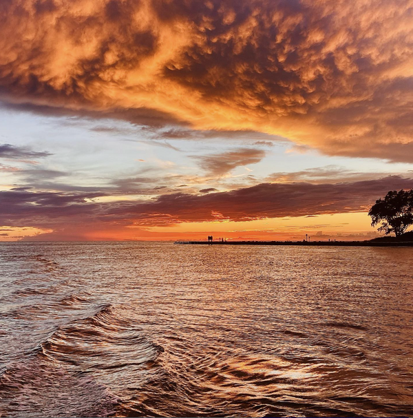 screenshot-2024-08-13-at-15-40-40-png