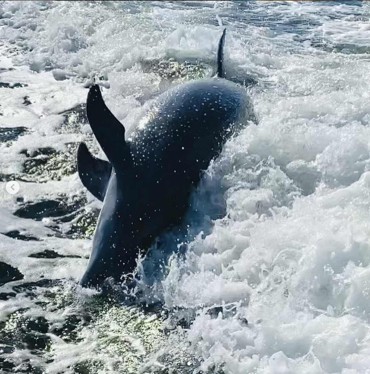 screenshot-2024-08-13-at-15-41-01-png