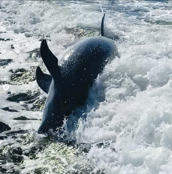 screenshot-2024-08-13-at-15-41-01-png