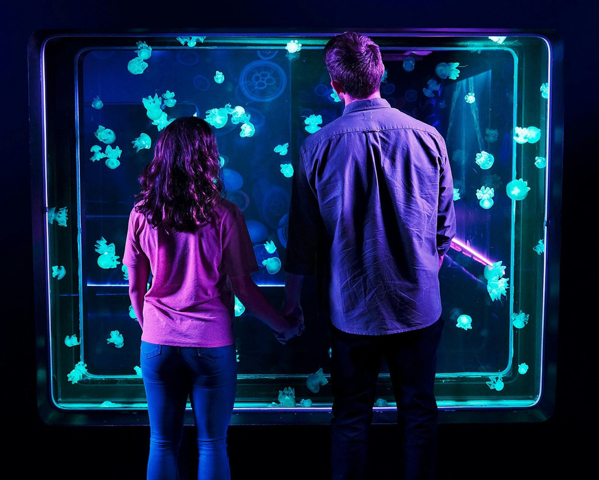 sealife-date-jpg