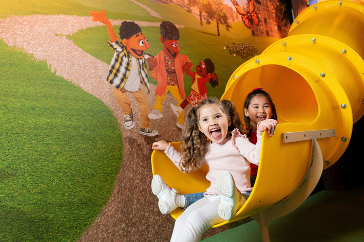 Sesame Street Learn and Play Experience at American Dream
