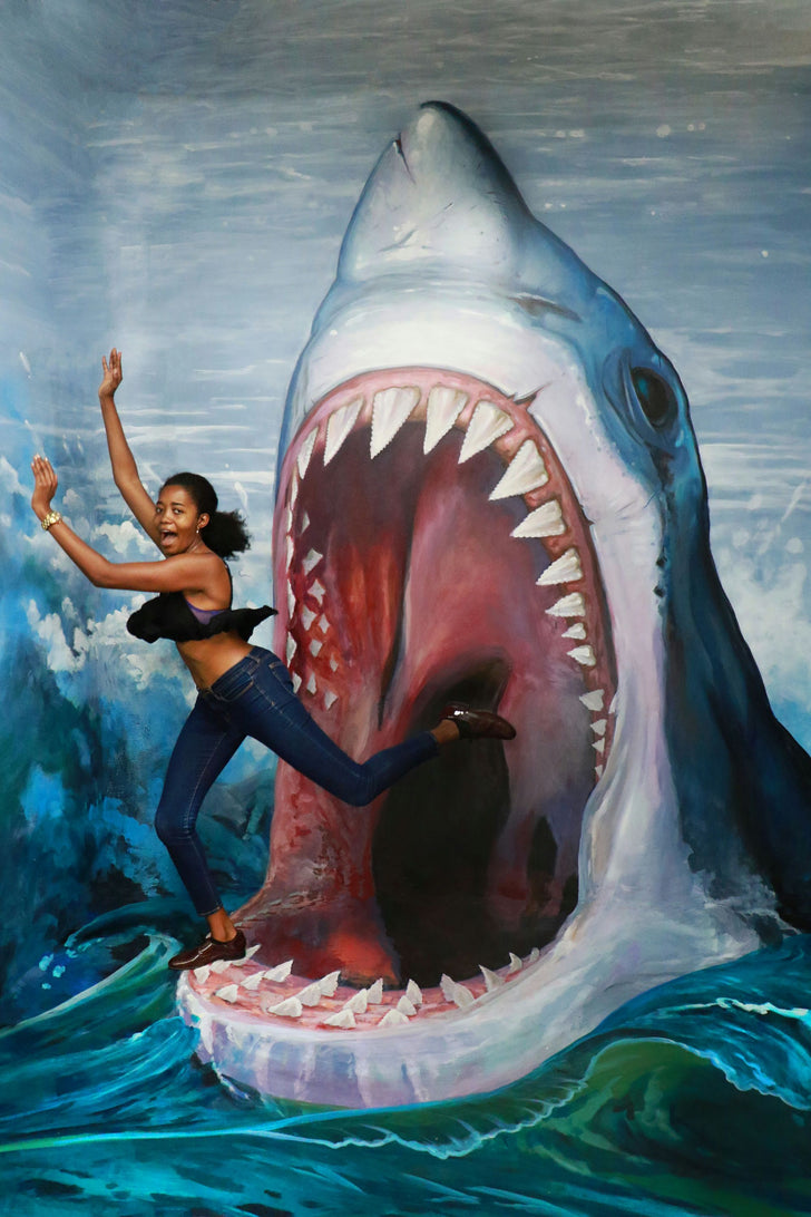 Admission to the Museum of 3D Illusions with "Smash It!" Experience