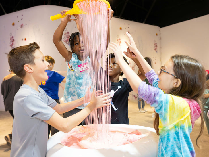 Sloomoo Institute Houston Admission – The Ultimate Slime Experience