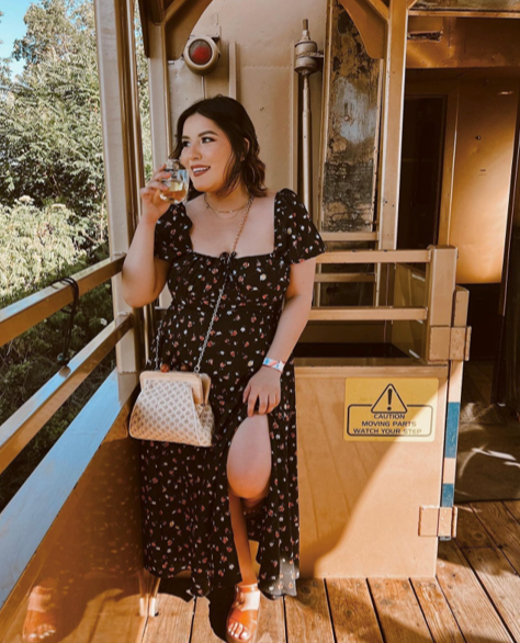 Smiling Woman with Wine Glasses on Train Outing
