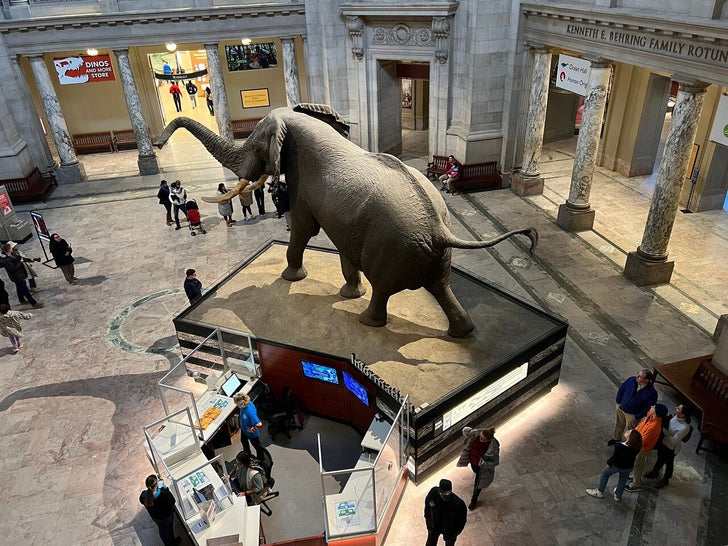 Smithsonian American Art Museum Private Tour