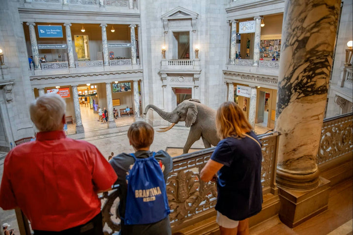The Ultimate Big 3 Smithsonian Museums DC Walking Tour
