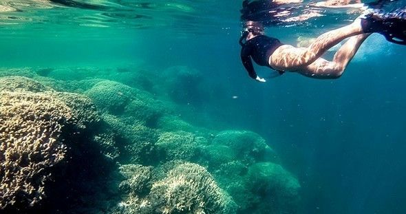 snorkeling-in-kaneohe-bay-by-kayak-jpg