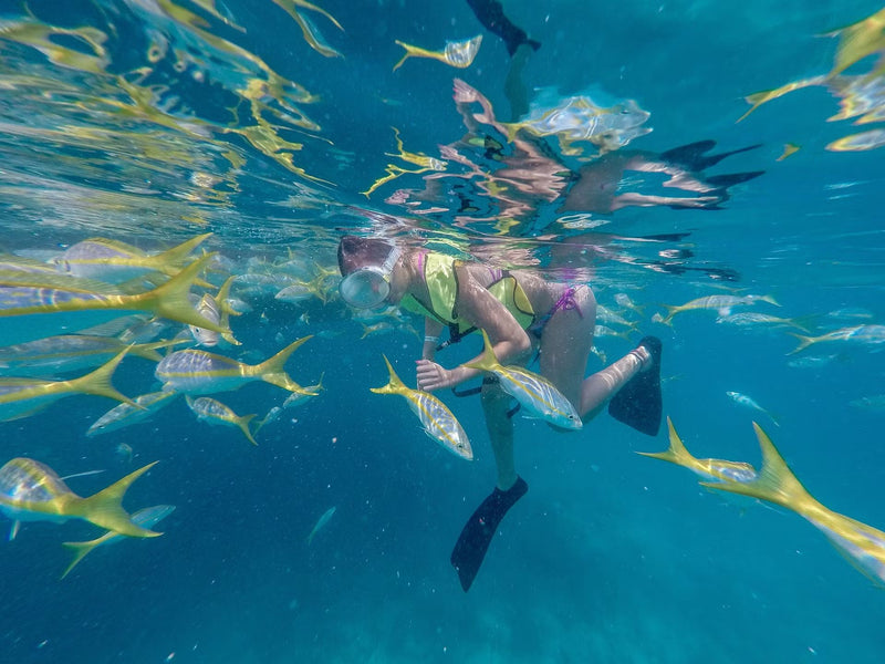 snorkeling with fish