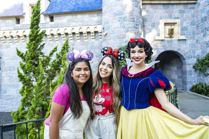 Disneyland® Resort 1-Day Park Hopper® Ticket