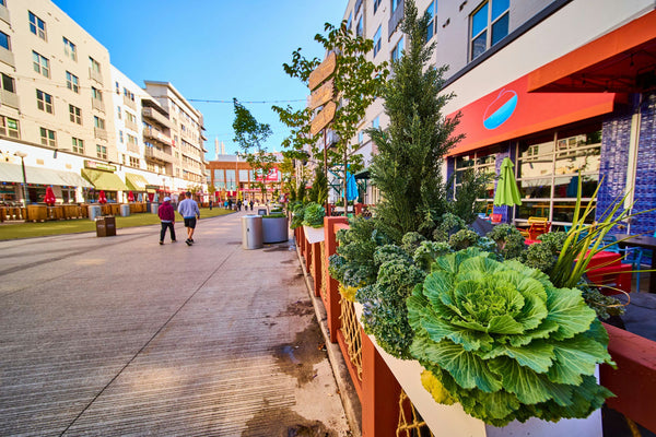 Streets of Cincinnnati