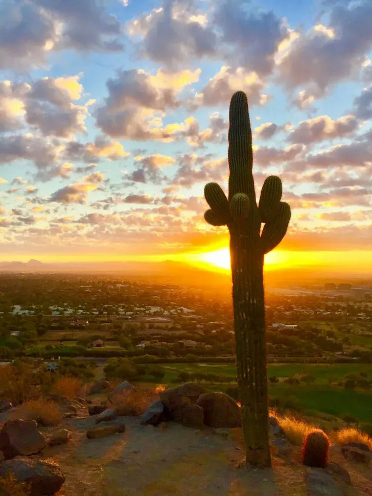 Spectacular Sunrise Hiking Adventure