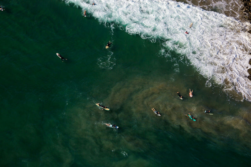surfers above.jpeg