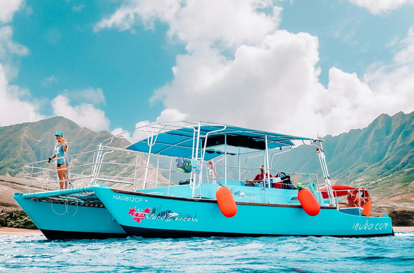 swim-with-turtles-in-waikiki-boat-jpeg