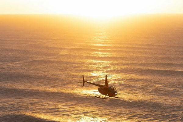 tampa helicopter at sunset.jpg