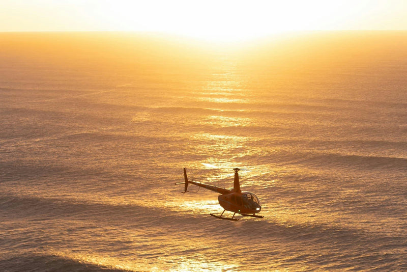 tampa helicopter at sunset.jpg