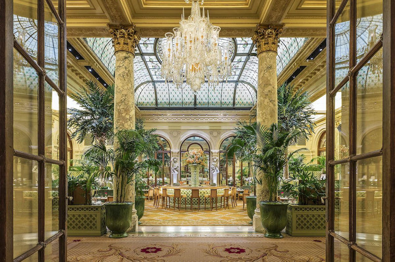 the-palm-court-horizontal-jpg