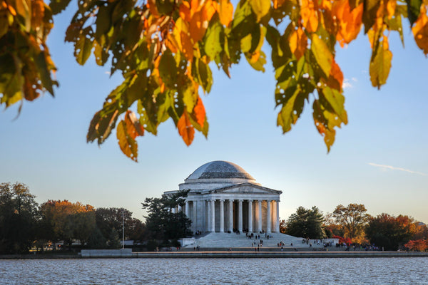 thomas jefferson memorial in fall.jpg