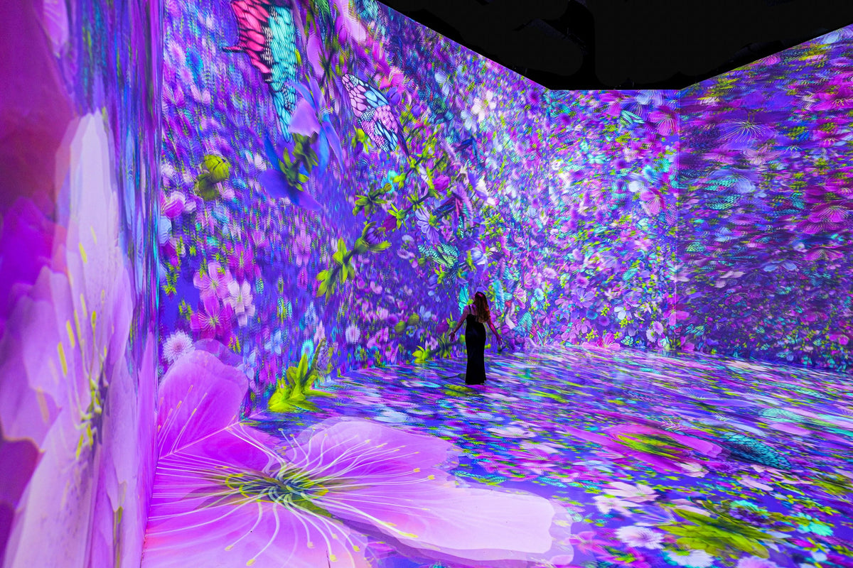 timeless-butterflies-9-artechouse-jpg