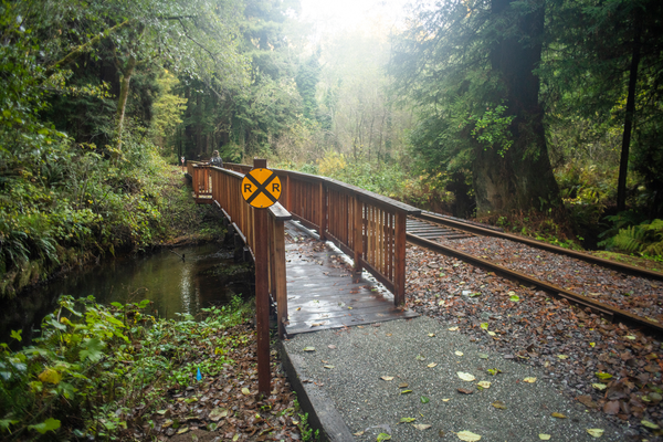 trail-image