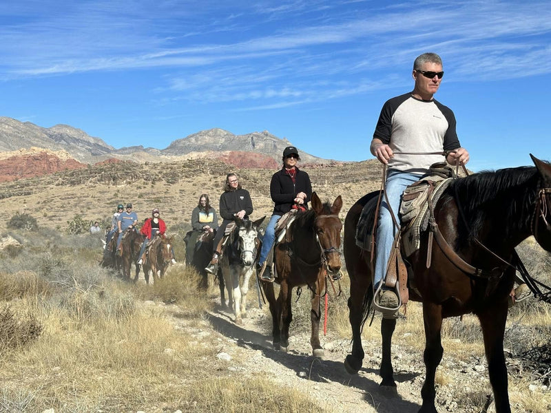 trail-of-horseback-riders