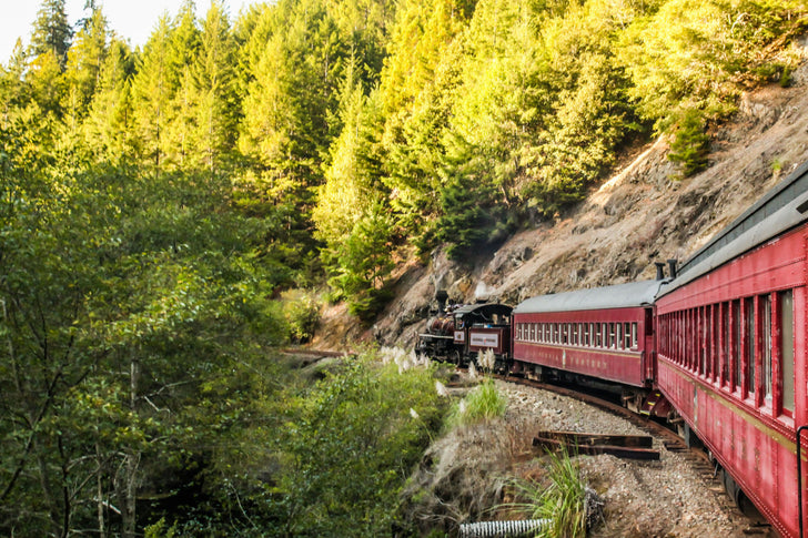 Pudding Creek Express Train Ride