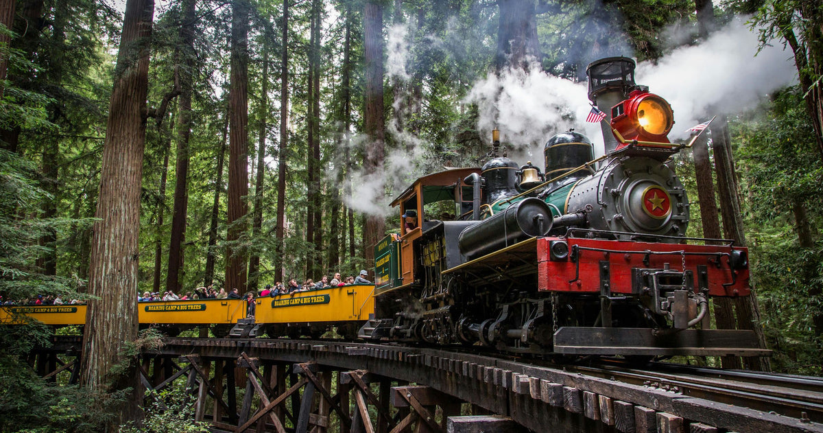 train-in-redwoods-jpeg