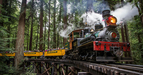 train in redwoods.jpeg