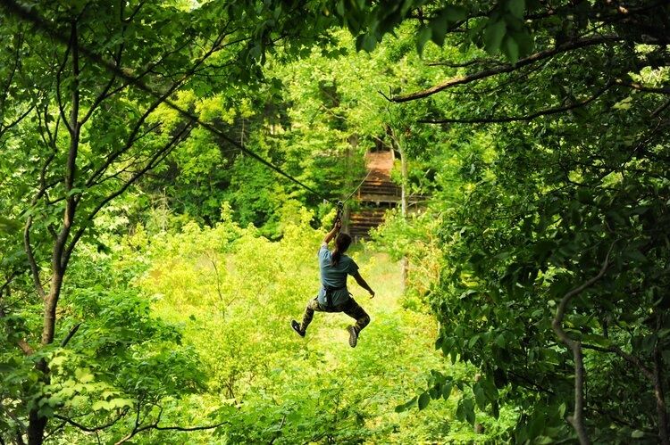 treetop-adventure-go-ape-jpeg