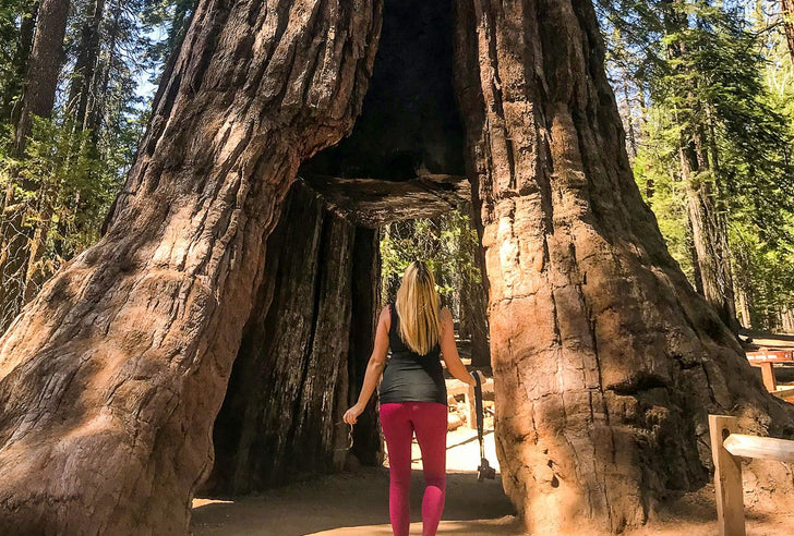 Yosemite & Giant Sequoias Day Tour from San Francisco