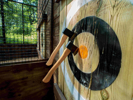 two axes in a target one in the bullseye