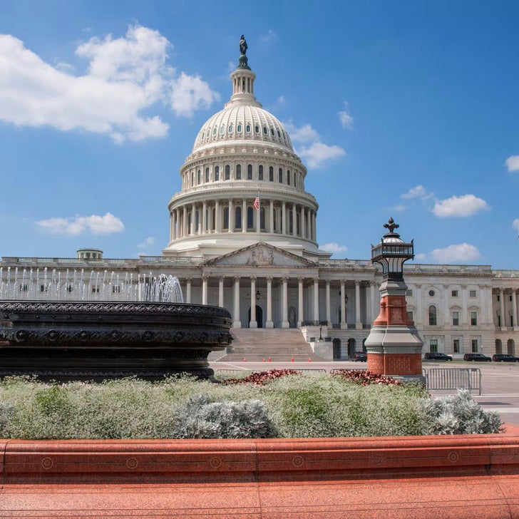 US Capital and Library of Congress DC Walking Tour