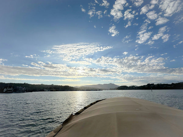 view from boat.jpg