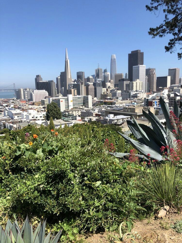 view-of-san-francisco