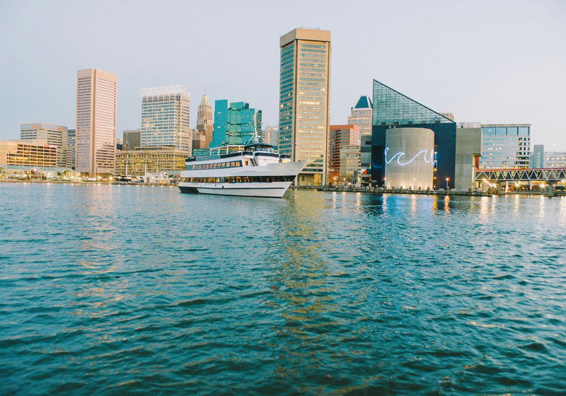 views-of-cruise