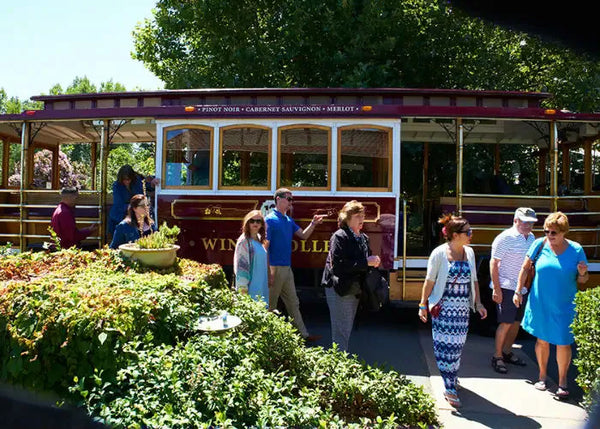 walking-by-trolley