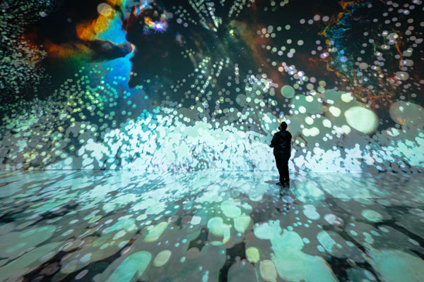 walking-in-art-installation