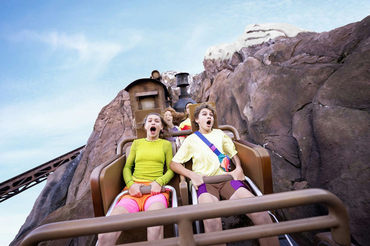 Walt Disney World® Resort 1-Day Animal Kingdom® Theme Park Ticket