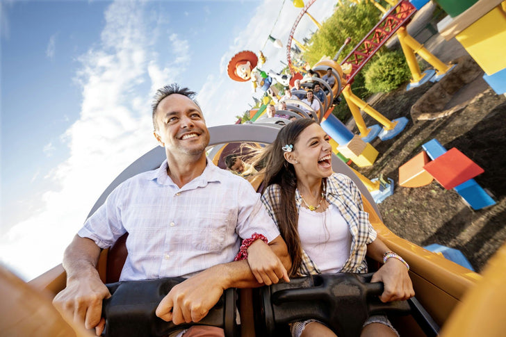 Walt Disney World® Resort 1-Day Hollywood Studios® Theme Park Ticket