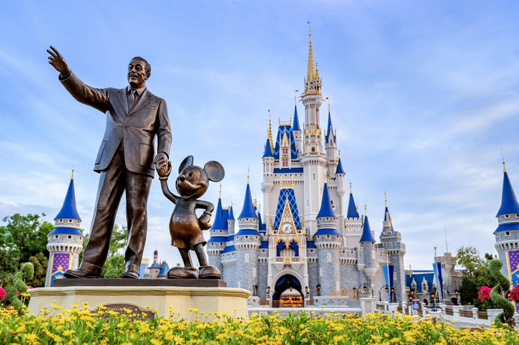 Walt Disney World® Resort 1-Day Magic Kingdom® Theme Park Ticket