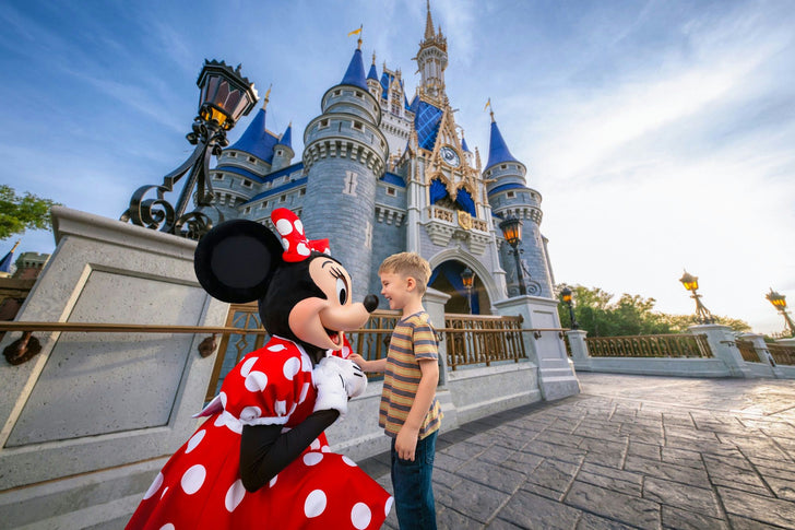 Walt Disney World® Resort 1-Day Park Hopper® Ticket